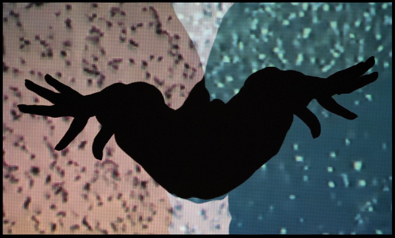 sailing border 9 (dragged)