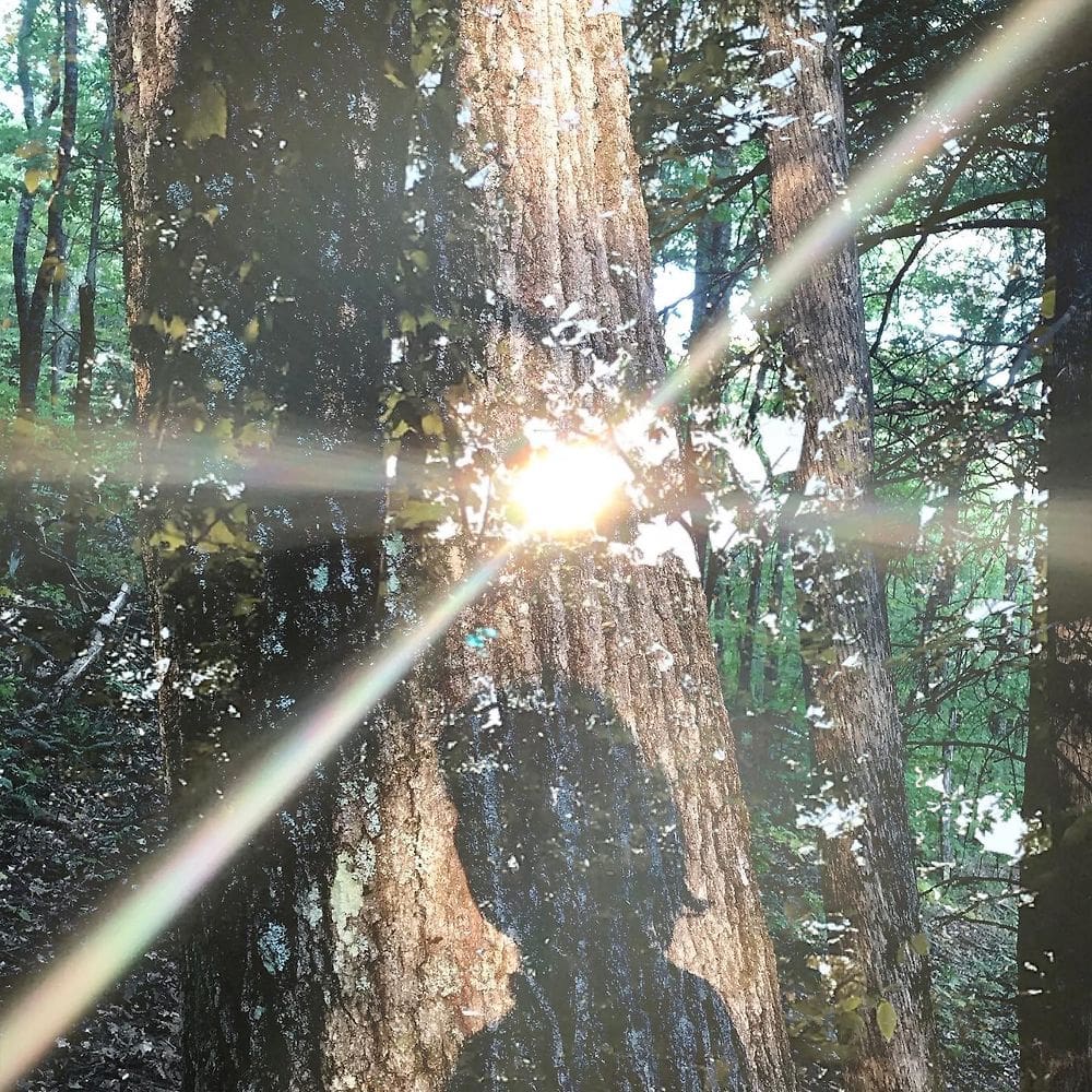 avtr 0 1000 0 1000 crop