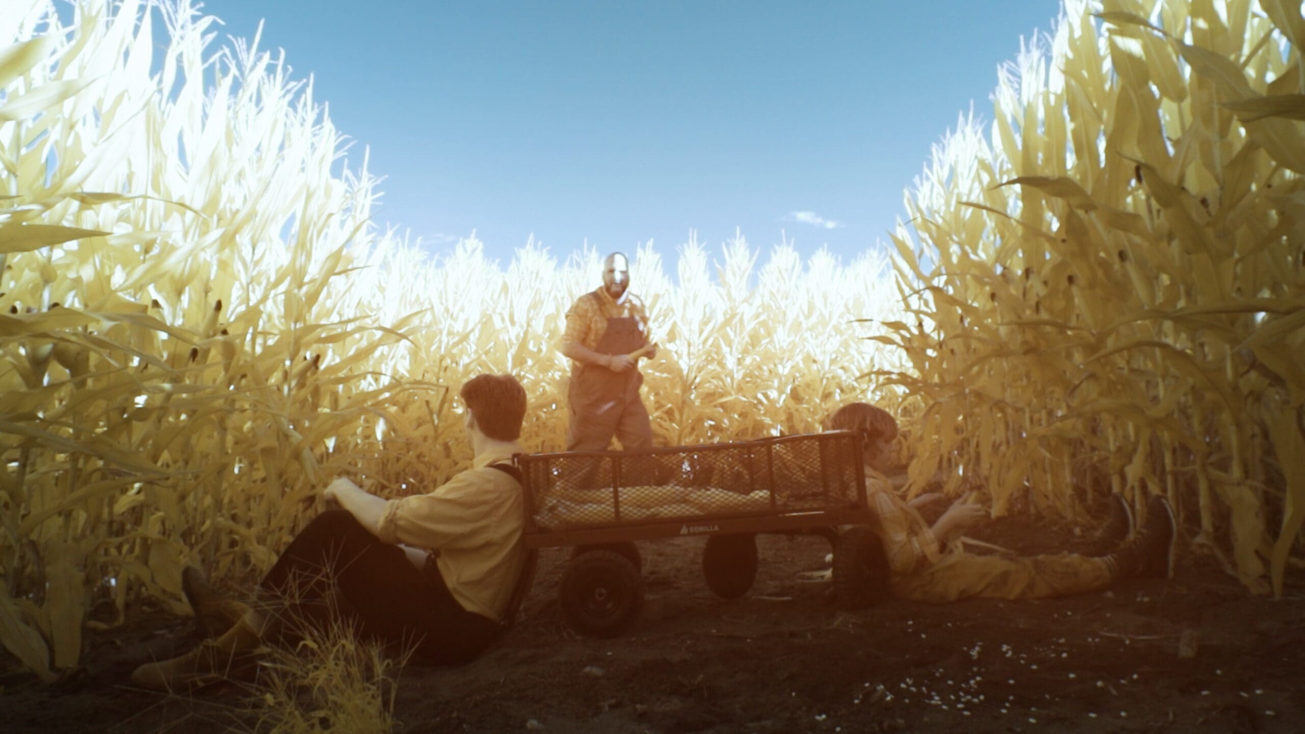 Still 5